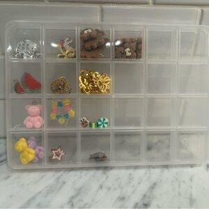 Clear Plastic Storage Organizer